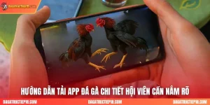 hướng dẫn tải app đá gà