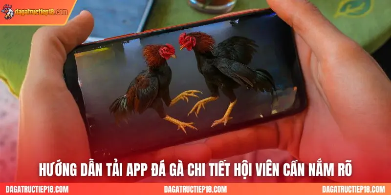 hướng dẫn tải app đá gà