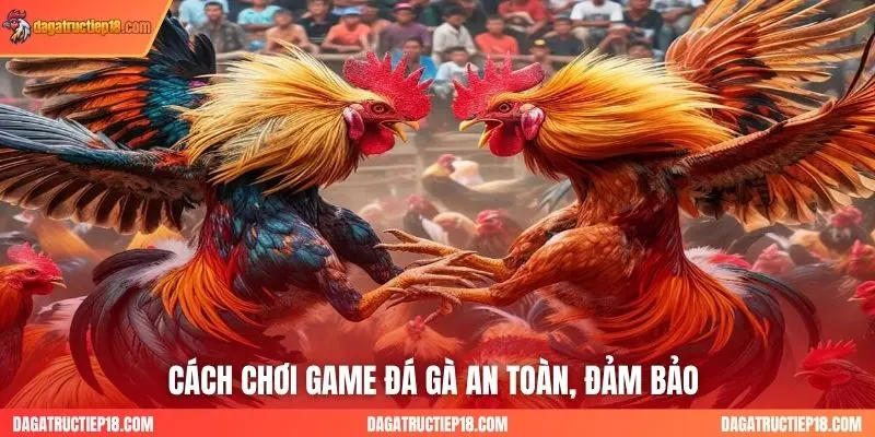 Cách tham gia đá gà an toàn, minh bạch 