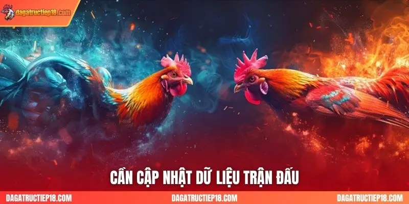 Cần cập nhật dữ liệu trận đấu
