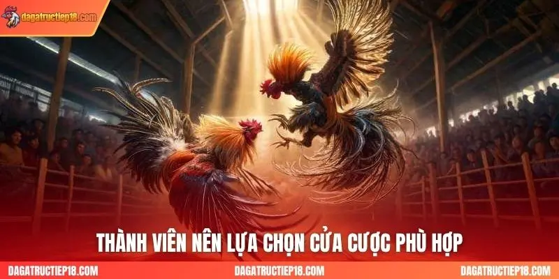 Thành viên nên lựa chọn cửa cược phù hợp