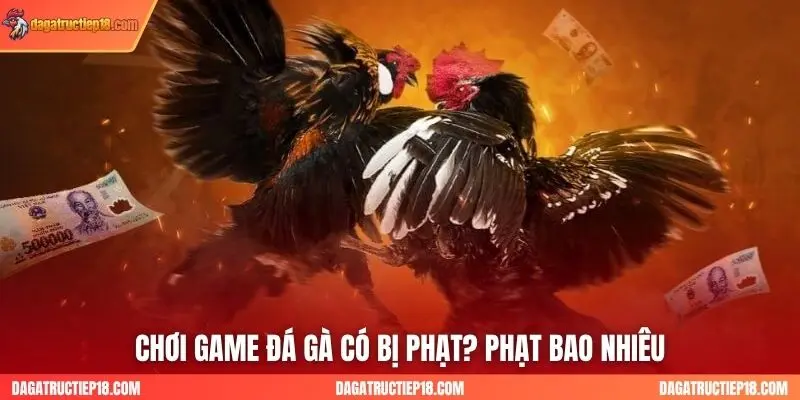 Cược game đá gà có thể bị phạt nếu tham gia không đúng cách 