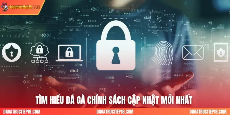 Tìm hiểu đá gà chính sách cập nhật mới nhất 
