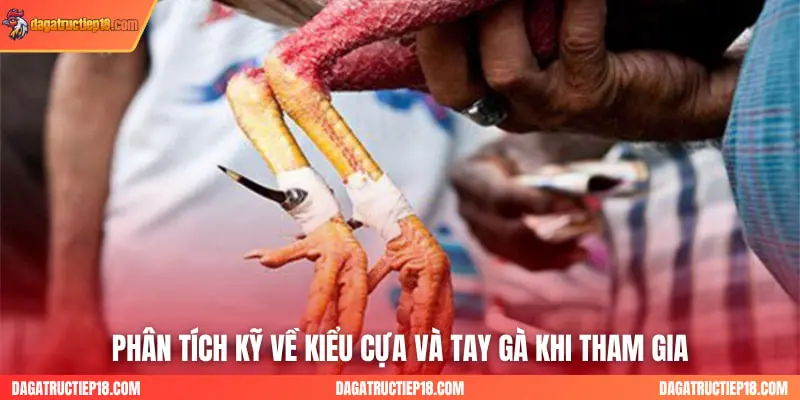 Phân tích kỹ về kiểu cựa và tay gà khi tham gia