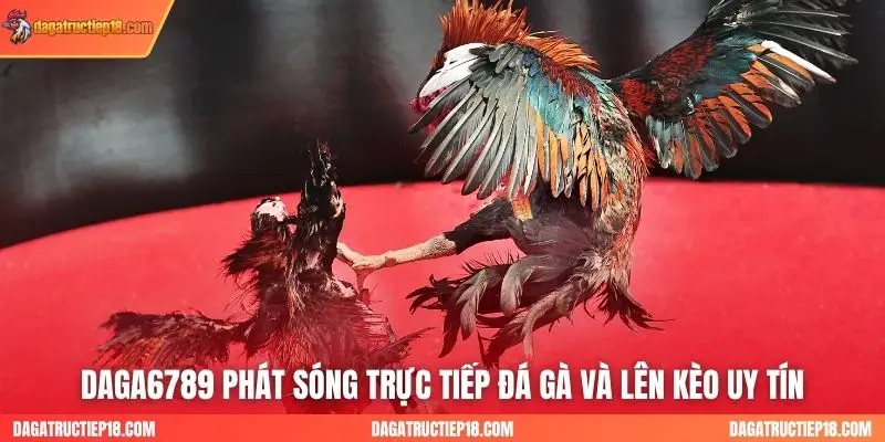Daga6789 phát sóng trực tiếp đá gà và lên kèo uy tín