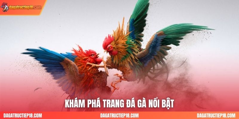 Khám phá trang đá gà nổi bật