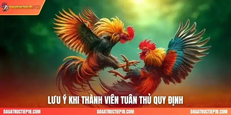 Lưu ý khi thành viên tuân thủ quy định