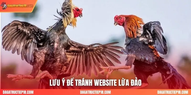 Lưu ý để tránh website lừa đảo