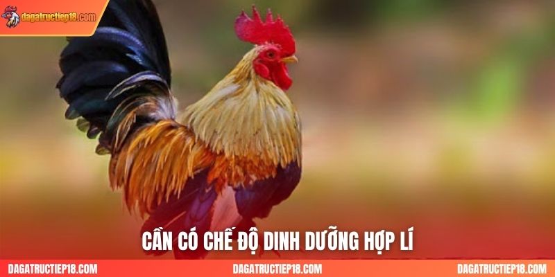 Cần có chế độ dinh dưỡng hợp lí