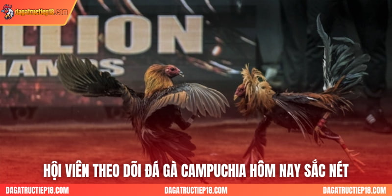 Link Xem Đá Gà Campuchia Hôm Nay Không Chặn Mới Nhất
