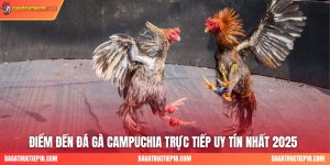 Điểm Đến Đá Gà Campuchia Trực Tiếp Uy Tín Nhất 2025