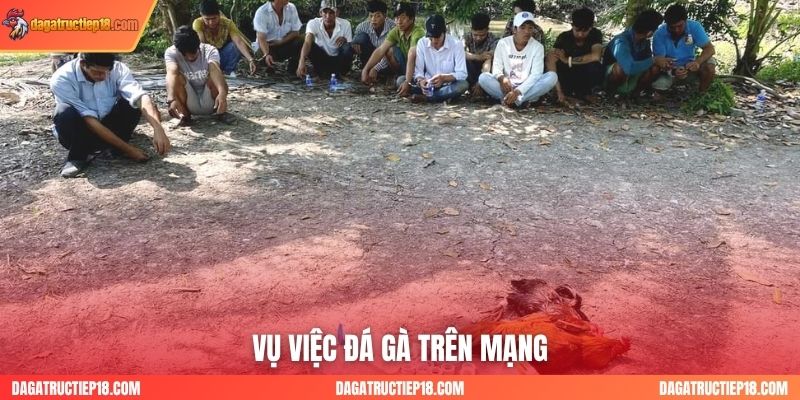 Vụ việc đá gà trên mạng