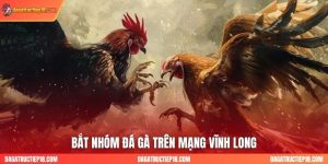 Bắt Nhóm Đá Gà Trên Mạng Vĩnh Long: Diễn Biến, Khuyến Nghị​