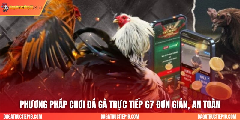 Phương Pháp Chơi Đá Gà Trực Tiếp 67 Đơn Giản, An Toàn