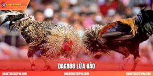 Tin Đồn DAGA88 Lừa Đảo: Người Chơi Nên Tin Vào Điều Gì?