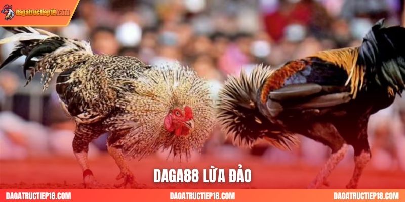 Tin Đồn DAGA88 Lừa Đảo: Người Chơi Nên Tin Vào Điều Gì?