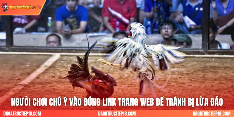 Người chơi chú ý vào đúng link trang web để tránh bị lừa đảo