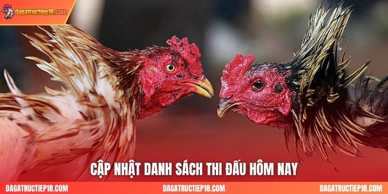 Cập nhật danh sách thi đấu hôm nay