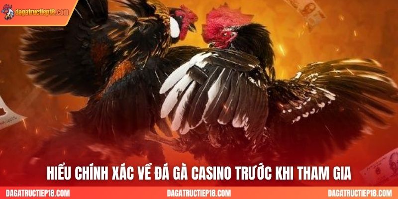 Hiểu chính xác về đá gà casino trước khi tham gia