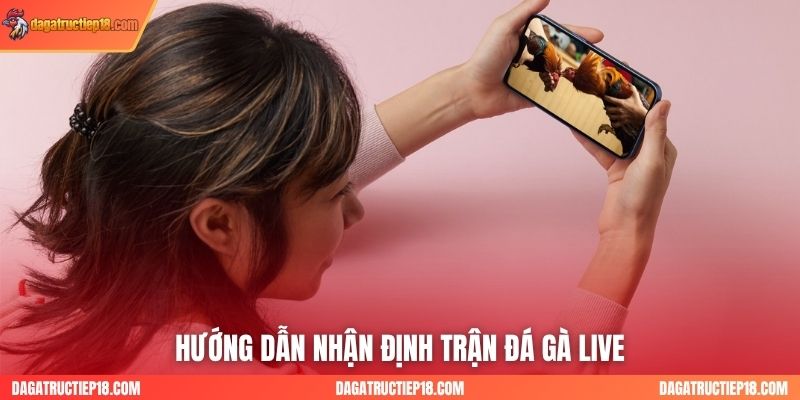 Hướng dẫn nhận định trận đá gà live