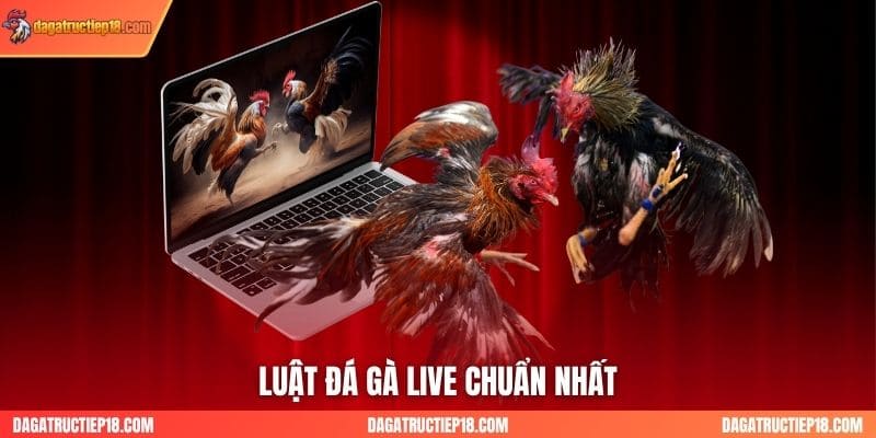 Luật đá gà live chuẩn nhất