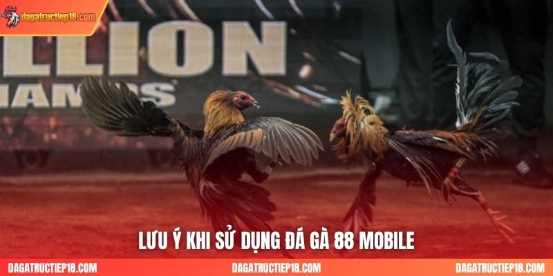 Lưu ý khi sử dụng đá gà 88 mobile
