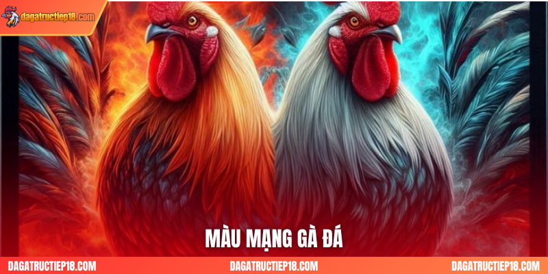 5 Nhóm Màu Mạng Gà Đá Theo Ngũ Hành Có Thể Bạn Chưa Biết