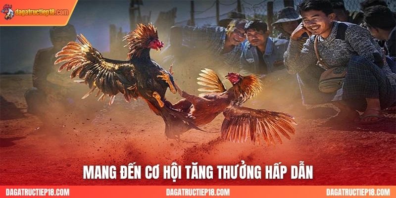 Mang đến cơ hội tăng thưởng hấp dẫn