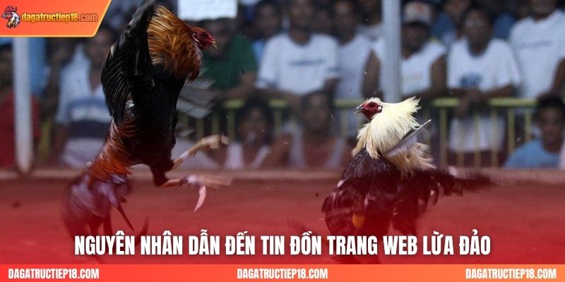 Nguyên nhân dẫn đến tin đồn trang web lừa đảo