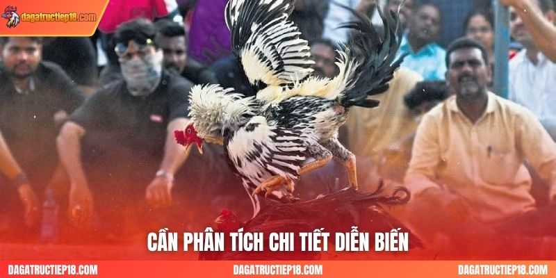 Cần phân tích chi tiết diễn biến