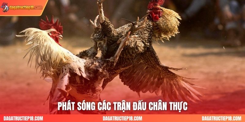 Phát sóng các trận đấu chân thực