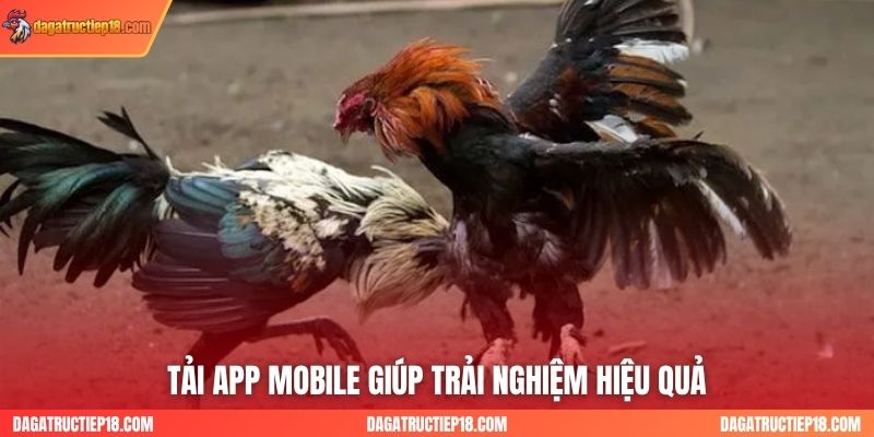 Tải app Mobile giúp trải nghiệm hiệu quả