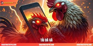 Tải đá gà trực tiếp