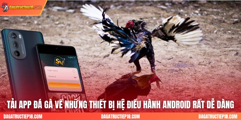 Tải App đá gà về những thiết bị hệ điều hành Android rất dễ dàng