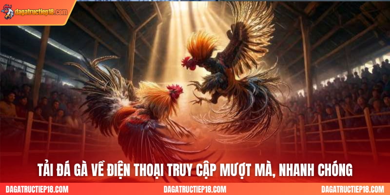 Tải đá gà về điện thoại truy cập mượt mà, nhanh chóng