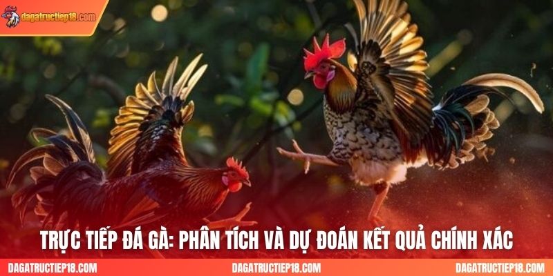 Trực Tiếp Đá Gà: Phân Tích và Dự Đoán Kết Quả Chính Xác