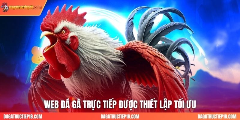 Web đá gà trực tiếp được thiết lập tối ưu