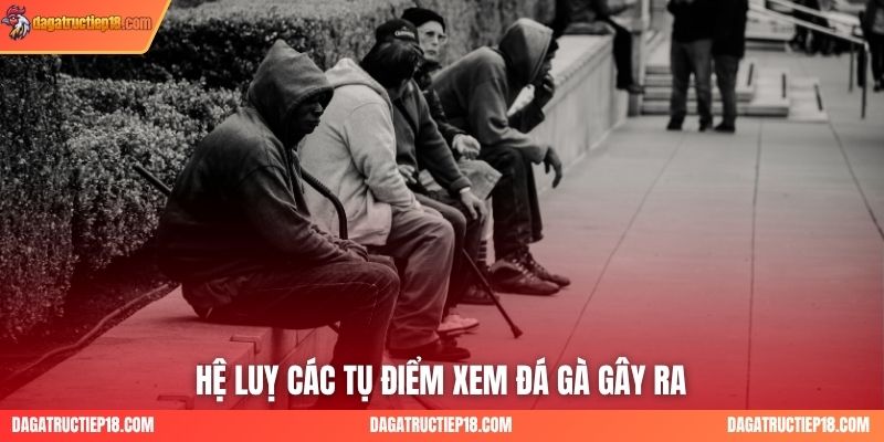 Hệ luỵ các tụ điểm xem đá gà gây ra
